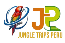 Jungle Trips Peru home