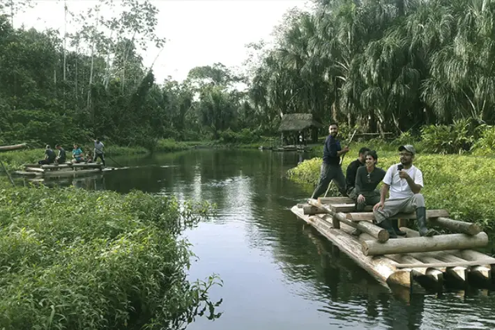 Manu Jungle