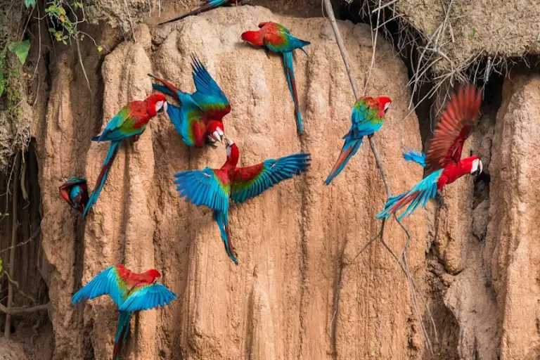 Peru Coast